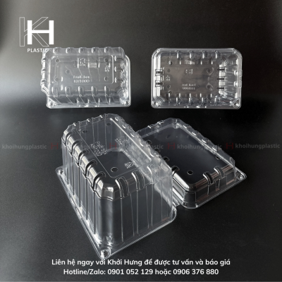 HỘP TRÁI CÂY 1KG