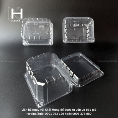 HỘP TRÁI CÂY 500G