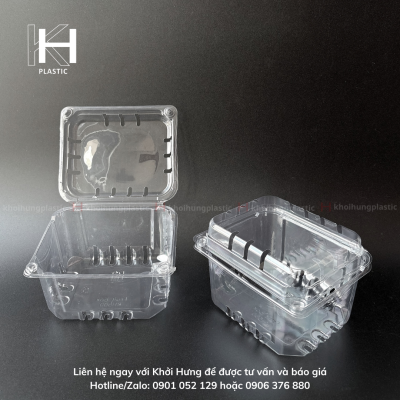 HỘP TRÁI CÂY 500G