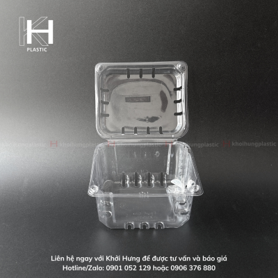 HỘP TRÁI CÂY 500G